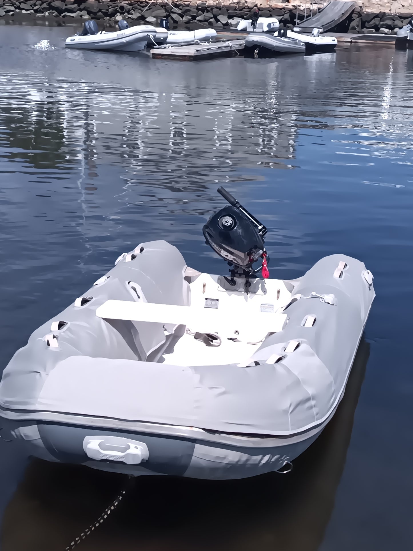 West Marine RIB - 350 Double Floor Dinghy Chaps by US Marine Products LLC